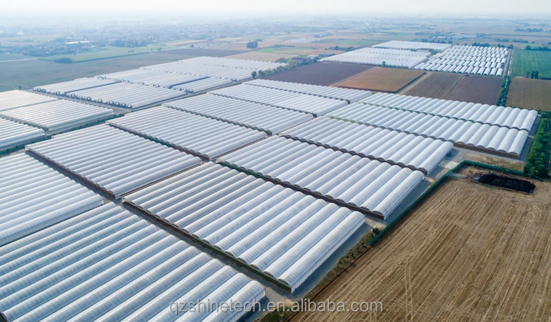 greenhouses with Cooling System