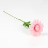#16 Pink cosmos