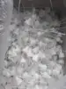 white spray cap