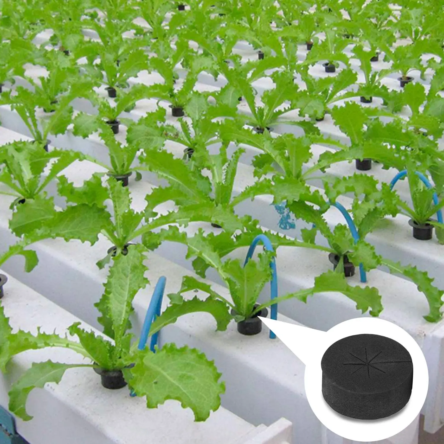 Multi Color Hydroponic Cloning Systems Soilless Culture 7 Cm Cloner Pucks Net Cup Collars Neoprene Collar