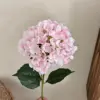 Rosa chiaro