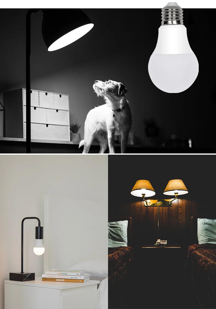 Bulb Lights Led