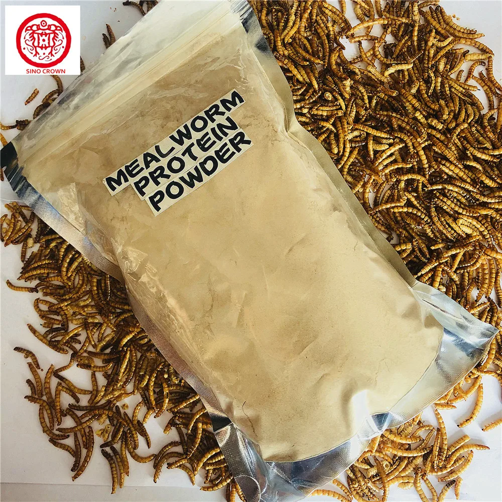 High Protein Defatted Mealworms Powder Canary Seed Feed Grade For Sale Buy High Protein