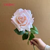 #9 rosa chiaro