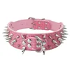 PU: Rosa