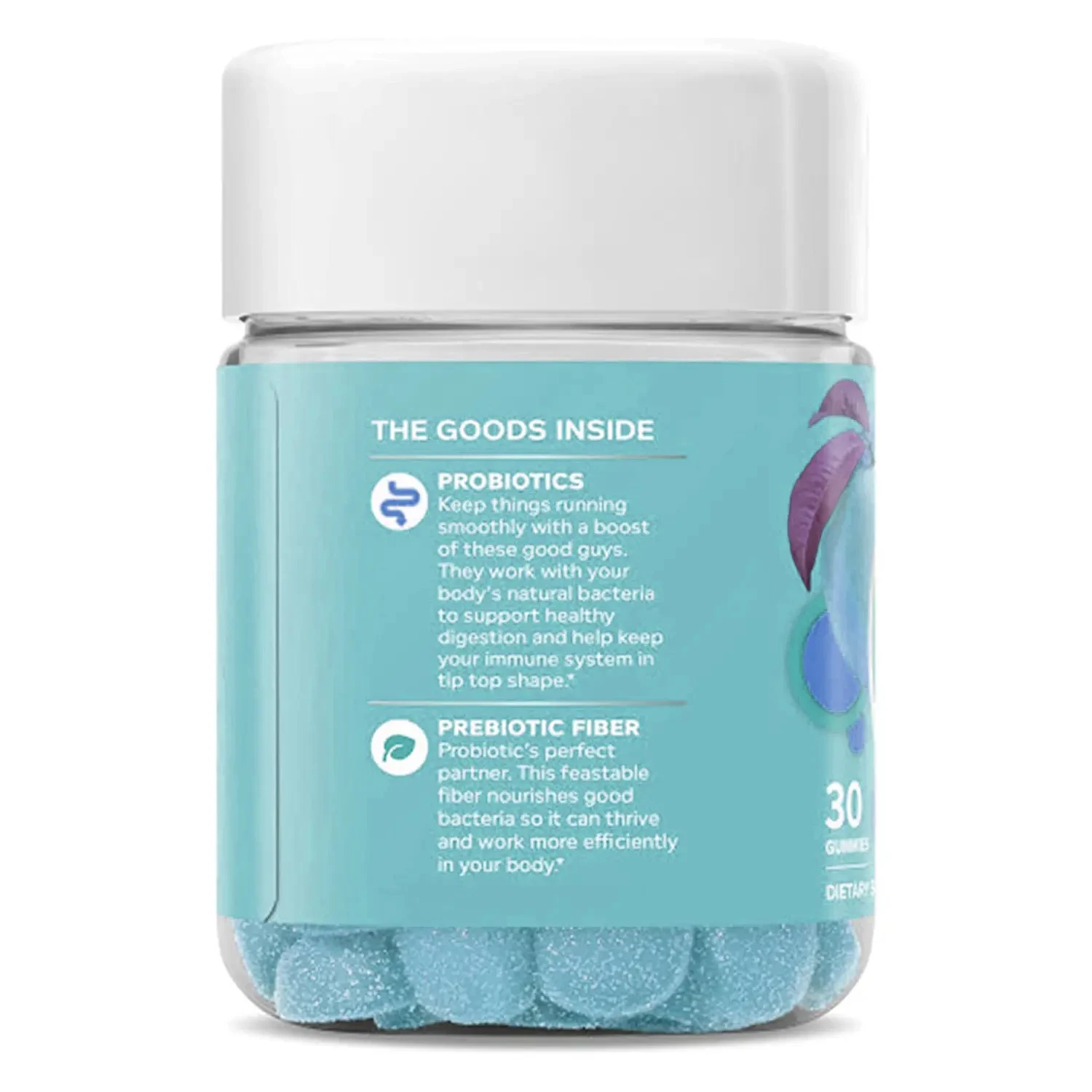 Supply Private Label Women's Supplement Prebiotic Probiotics Gummies For Vagina Probiotics factory