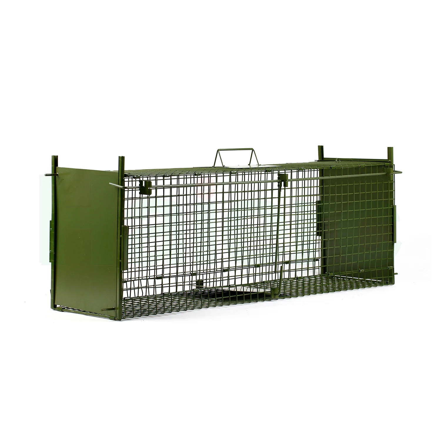 XXL Live Trap Cage Trap - Mousetrap & Marten Trap & Rat Trap