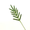 Hoja de palma de areca verde oscuro