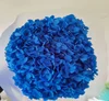 Blu reale
