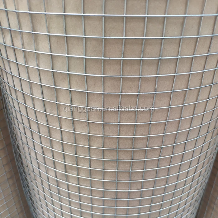 Qiangguan Direct Factory Welded Wire Mesh 1"x1" Aviary Fencing Fence Chicken Rabbit Garden Galvanised 10m