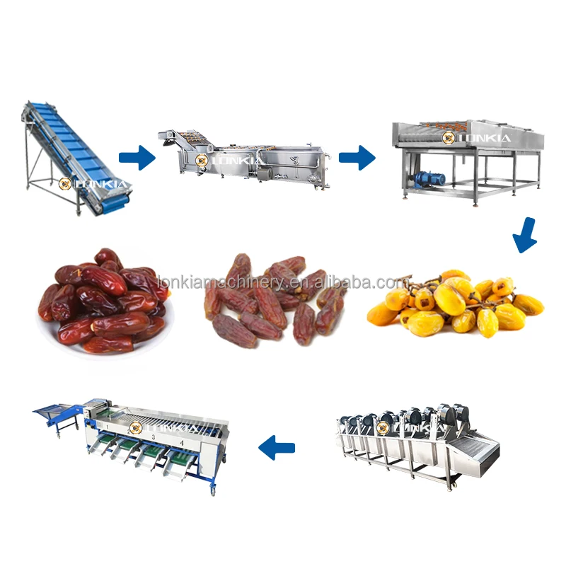 Large Capacity Automatic Date Palm Washing Machine for Efficient Date Cleaning Drying Sorting Processing Line