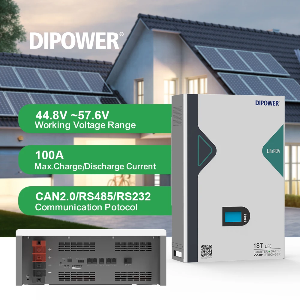 100Ah LFP Cells Battery Lifepo4 Lithium Energy Storage Pack 51.2V for Solar Use