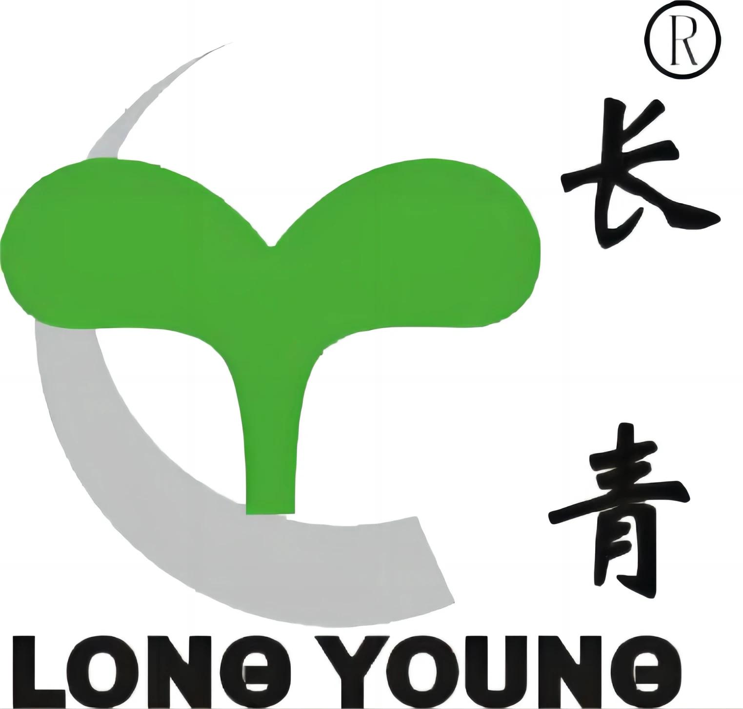 Long Young Plastics (shenzhen) Co., Ltd. - PVC compound, rigid PVC