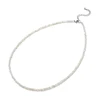 White Shell CB82392
