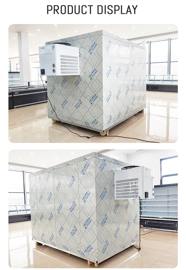 Freezer, 10ftx10ftx8ft, 110v~480v, R-404a - detail 28