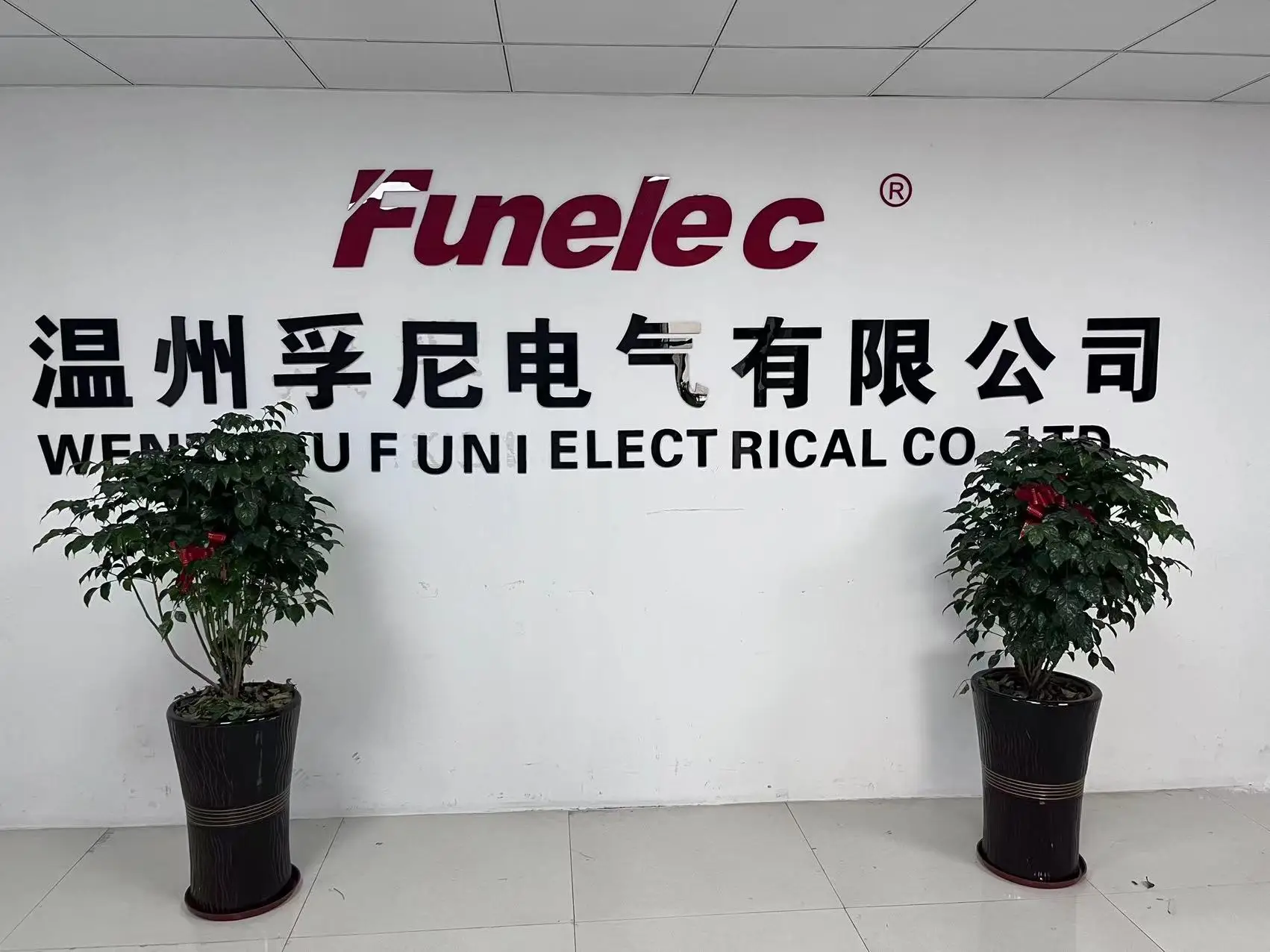 Wenzhou Funi Electrical Co., Ltd.