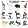 Animales coloridos de la sabana DT Mini (juego de 12 piezas)