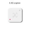 Blanc-5.8G-zigbee