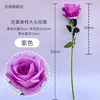 Purple single-stem large-headed rose