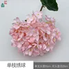 Single hydrangea (WZT) Pink