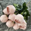 Light Pink 10