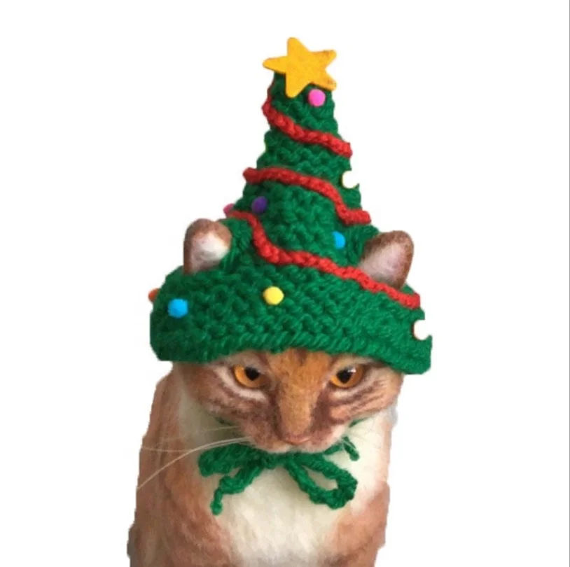 cat holiday hats