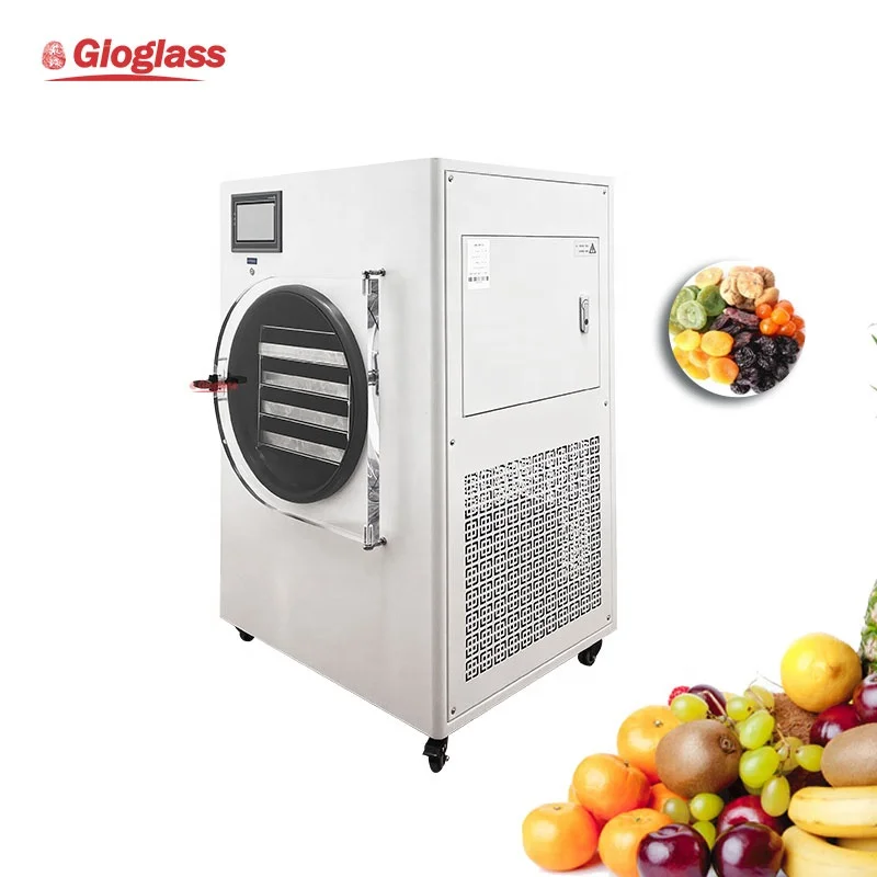Small Vacuum Freeze Drying Machine Lyophilizer Vegetable Fruit Meat Candy Home Freeze Dryer Machine