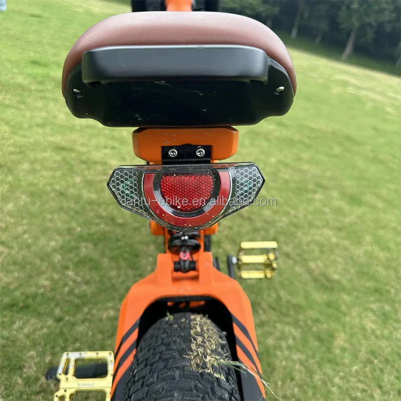 Lantu Ebike Customized Fast 48v 52v 1200w Mtb off Road 24 Inch Dirt Electric Bike