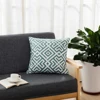 45*45cm embroidered cushion 09