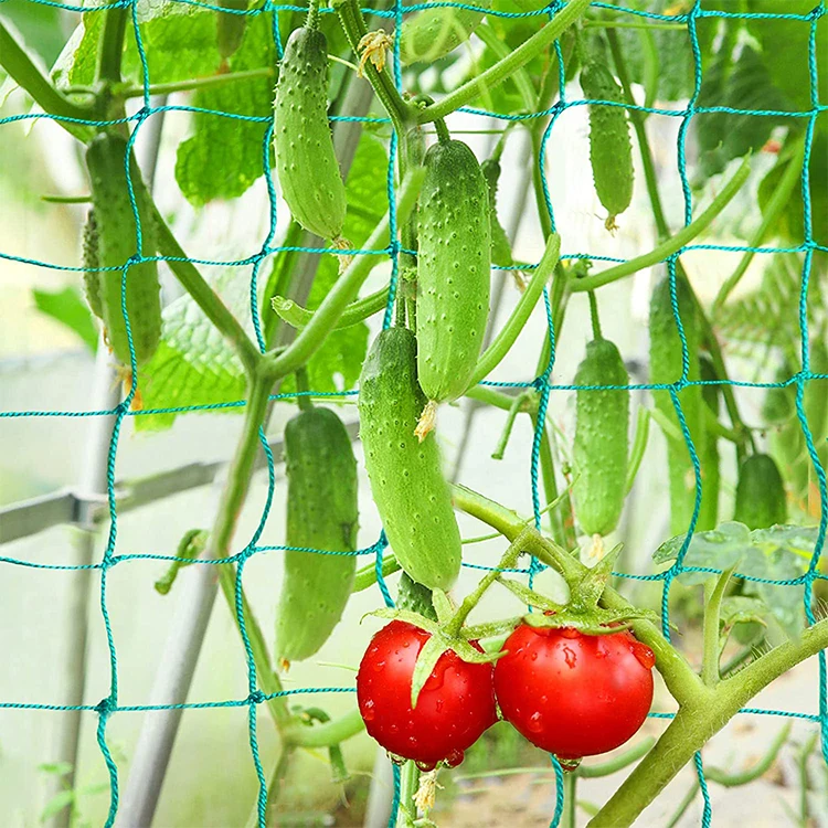 Planting Net Garden Trellis Netting Plants Climbing Net Nylon Vegetable Planting Net ...