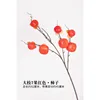 Seven-fruit flat persimmon, red