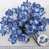 Branches d'iris bleu profond
