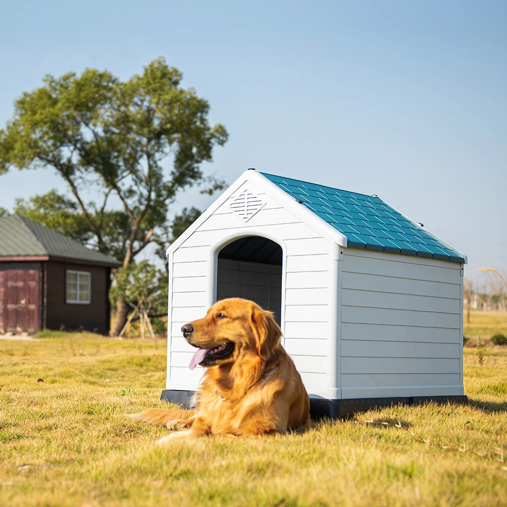 Amazon Modern Plastic Dogs House Large Dog House Waterproof Dog House