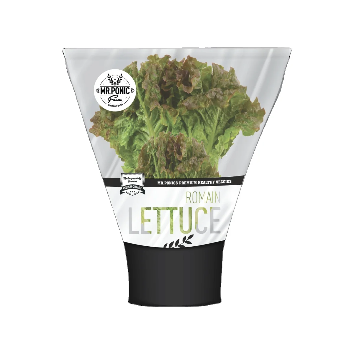 Fresh Herb Packaging Opp Bags with CPP Material Gravure Printing Heat Seal Zhengde Brand for Hydroponic Basil Lettuce Food Grade