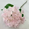 Light  pink