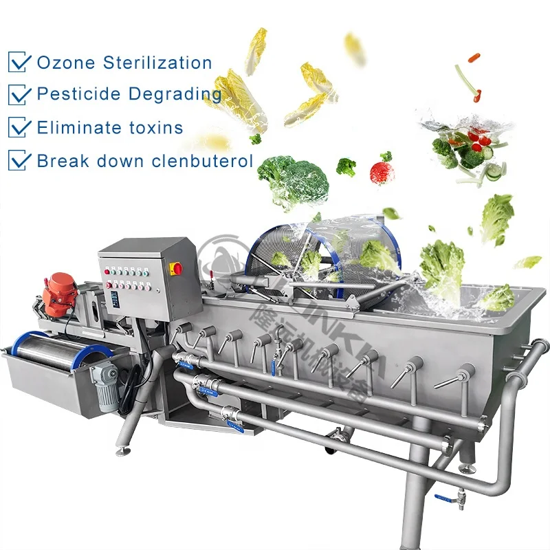 Salad Vortex Cleaning Machine details