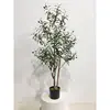 Verde 11 oliva