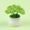 Deux trèfles à quatre feuilles en pot - Vert Bourgeon