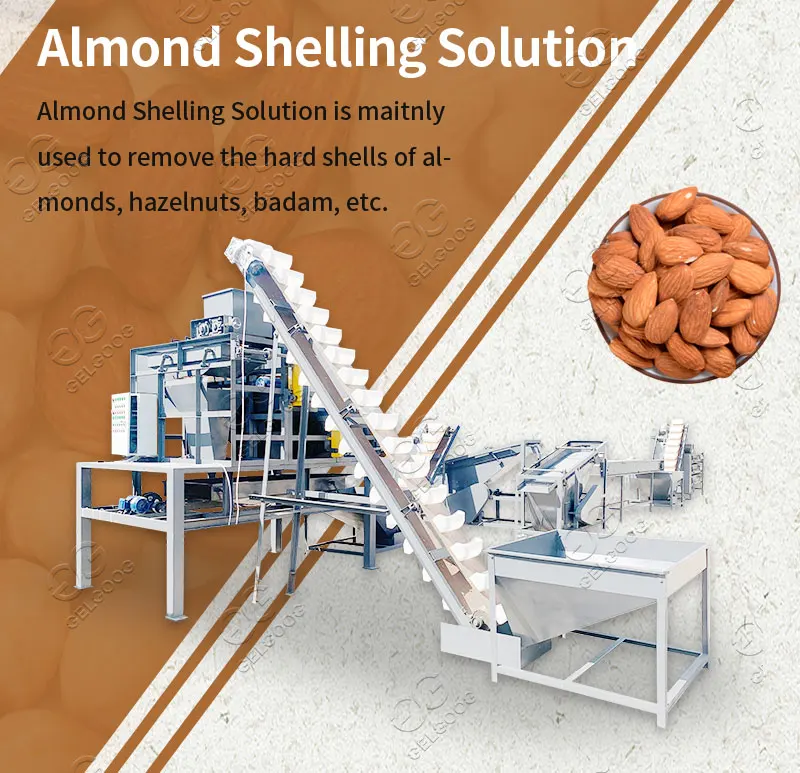 High Quality Pistachio Cracking Hazelnut Cracker Processing Palm Kernel
