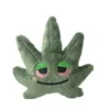 Piante di Peluche Personalizzate