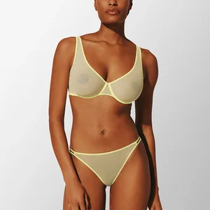 Wholesale Sexy Underwear with Ultra Thin Mesh Fabric Vibrant Elastic Trim Women Lingerie for Lady Sexy Panties Sexy Underwear