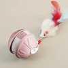 Pink+ mouse