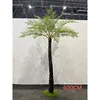 Fougère arborescente - 400cm (sur mesure)