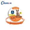 Orange Cat