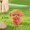 #07 Brown Teddy Bear Dog