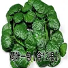 Begonia de 36 hojas 12 raíces