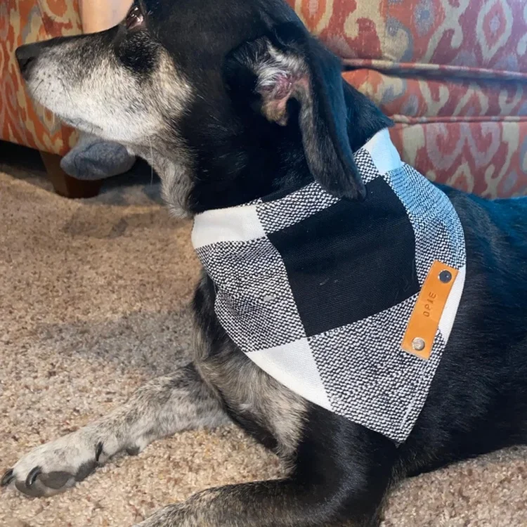 Bandana Personalizzata Per Cani - Con Logo O Nome, Cotone/Poliestere, Lavabile - Foto 6