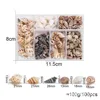 Mixed shells and conches
