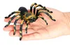 2632 Araña Tarántula