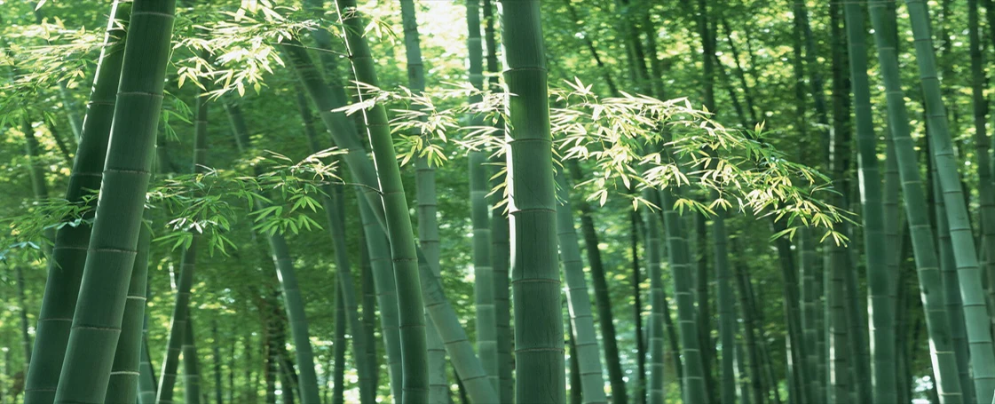 (1)(1)
